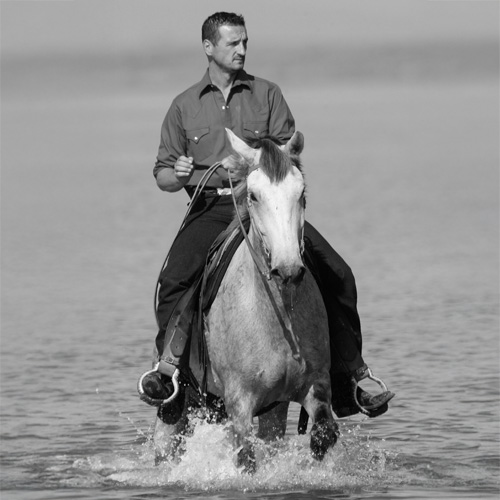 Amahorse origins 1991